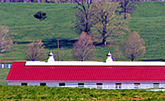 seo maryland company